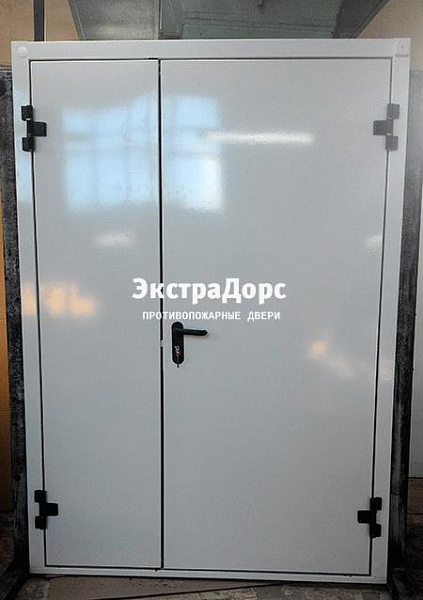 Противопожарная дверь EI 30 3 типа двупольная белая в Можайске  купить