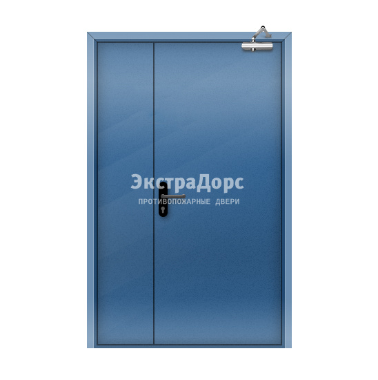 Огнеупорная дверь со скрытыми петлями 3-го типа полуторная цвет RAL 5005
