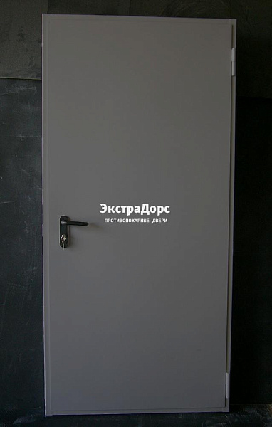 Дверь металлическая противопожарная EI 60 ДПМ 2 типа серая в Можайске  купить